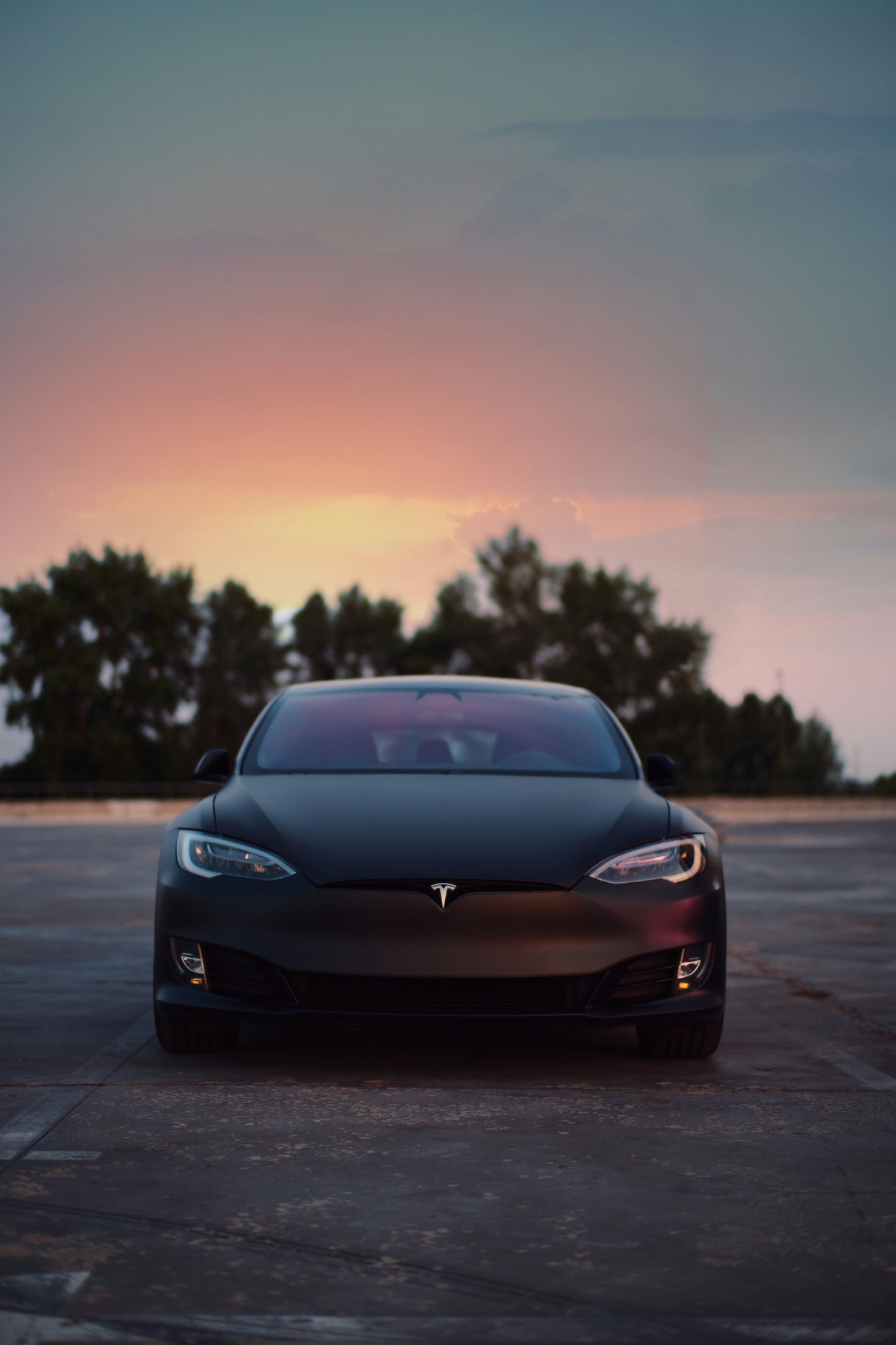 Revora Silent Seal — Complete 12-Piece Tesla Door & Cabin Noise Elimination Kit (Model 3, Y, S, X)